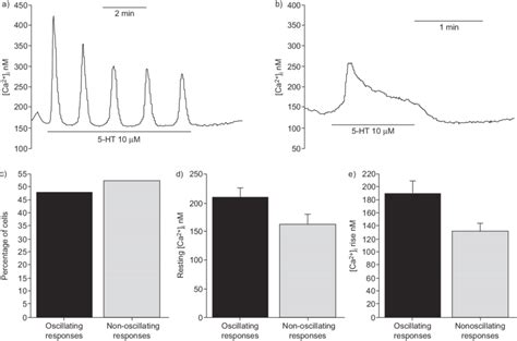 Effect Of 10 Mm Serotonin 5 Hydroxytryptamine 5 Ht On The