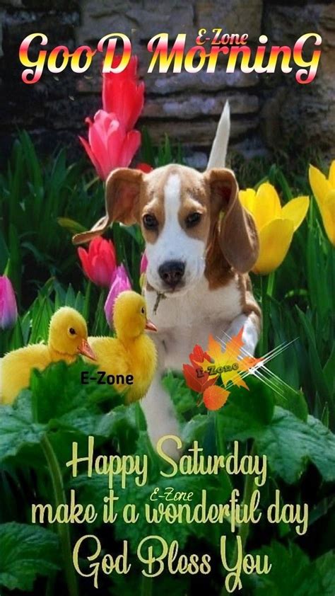 Incredible Compilation Of 999 Good Morning Happy Saturday Images