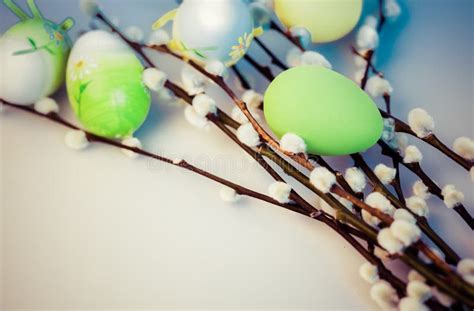 Easter Background With Pussy Willow And Colored Eggs Copy Space Stock Photo Image Of Protein