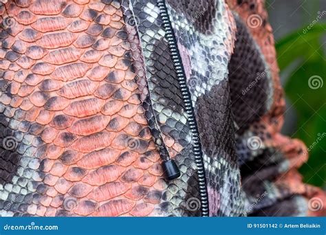 Portrait Of Beautiful Woman Brunette Hair Wear Fashion Luxury Snakeskin Python Coat Bali Island