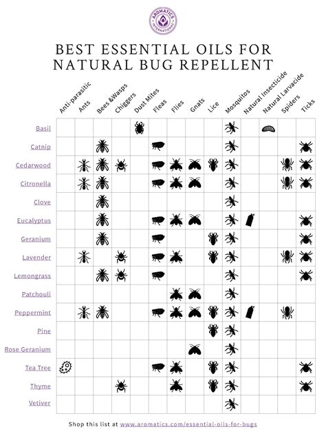 A Guide To Natural Bug Repellent With Essential Oils