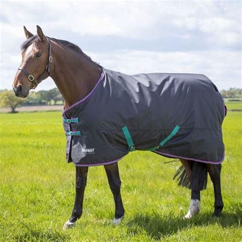 Shires Tempest Original 300 Heavy Turnout Rug 300g Black Chelford