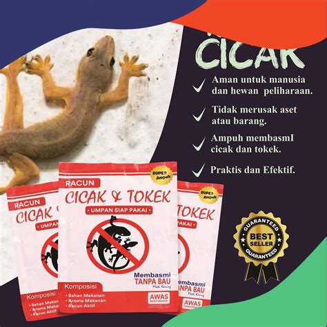 Jual Racun Cicak Dan Tokek Sachet Siap Pakai Paling Ampuh Cicak Cecak