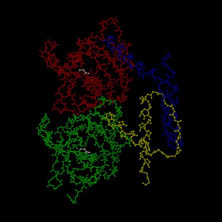 TP53 – Protein Structure – Binform