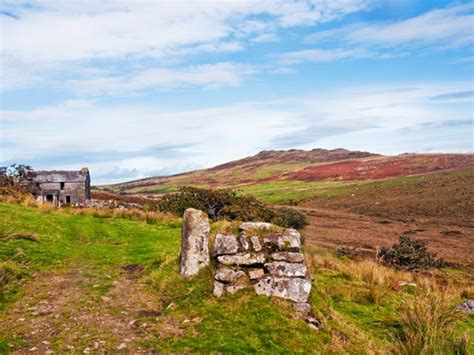 The Beast Of Bodmin Moor