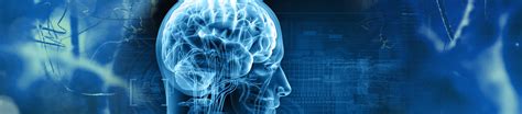 BRAIN DEATH