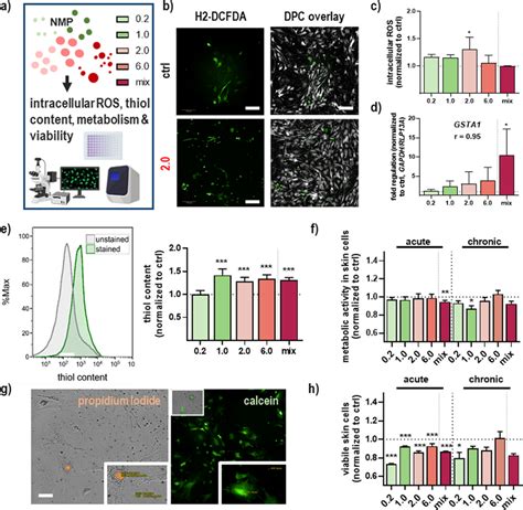 Intracellular ROS Thiol Content Metabolic Activity And Viability In