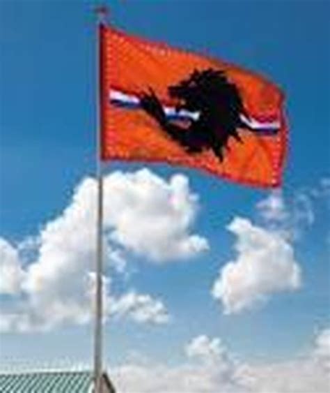 Oranje Vlag Met Leeuw XXL 200x300cm Bol