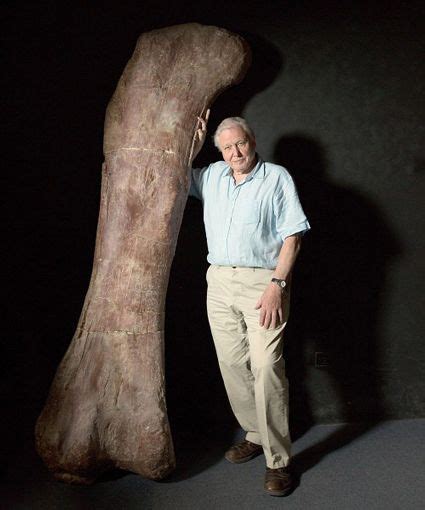 "Attenborough and the Giant Dinosaur"! | Largest dinosaur, Dinosaur ...