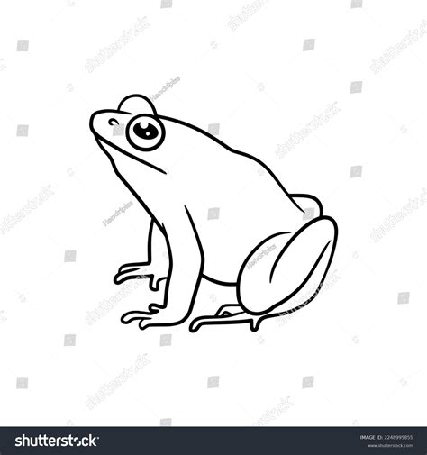 Frog Line Art Drawing Illustration Cute Stock Vector (Royalty Free) 2248995855 | Shutterstock