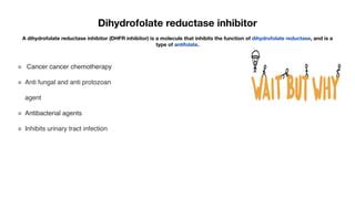 dihydrofolate reductase inhibitor | PPT