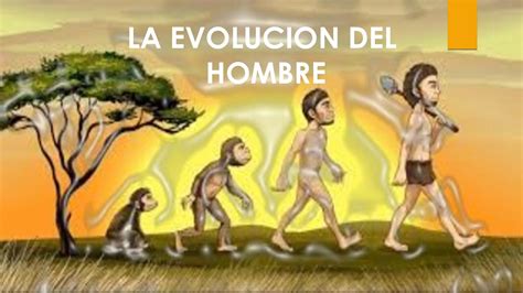 Calaméo Video Evolucion Del Hombre