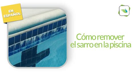 Cómo remover el sarro de la piscina