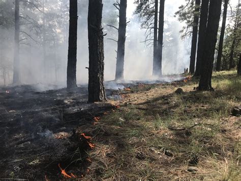 Smoke Tuesday On Flagstaff Ranger District From Prescribed Burns