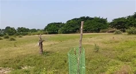 Agricultural Land Farm Land For Sale In Farming Ghanpur Warangal 3