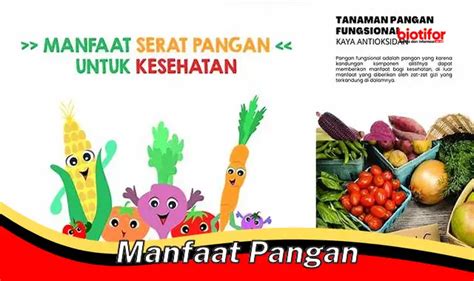 Temukan Manfaat Pangan Yang Jarang Diketahui Biotifor