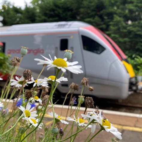 Greater Anglia Train Routes: Daily Timetables and Station Stops 26
