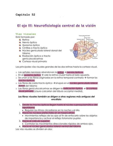 Ojo Neurofisiología central de la visión uDocz