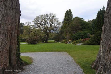 Muckross House Post Processing - Small Sensor Photography by Thomas Stirr