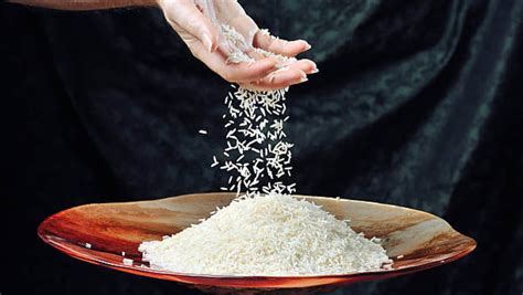 Basmati Rice Shipments Below 1 200 Per Tonne Put On Hold Inventiva