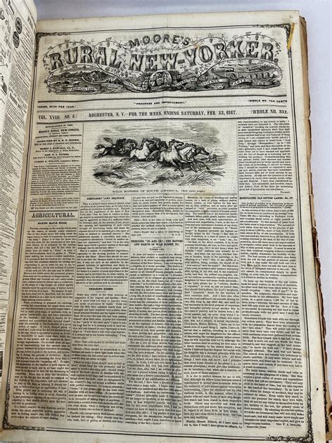 Lot - Moore's Rural New-Yorker Volume XVIII, 1867: An Agricultural and
