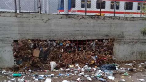 Lluvias Dejan 39 Toneladas De Basura En Monterrey ABC Noticias