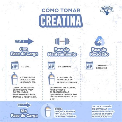 Qué es la Creatina para qué sirve y cómo tomarla FullMusculo