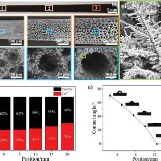 Surface characterization of the representative BSF. a) Optical image of ...