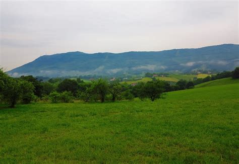 Un Paseo Rural En Mi Habitual Paseo Por Onyarbi Hoy Con B Flickr