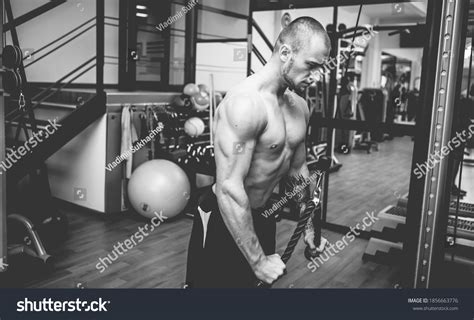 Muscular Bodybuilder Handsome Man Naked Torso Stock Photo 1856663776 Shutterstock