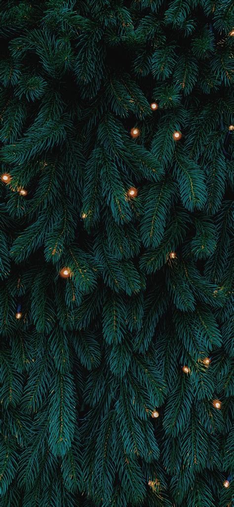 green Christmas tree with lights iPhone SE Wallpapers Free Download