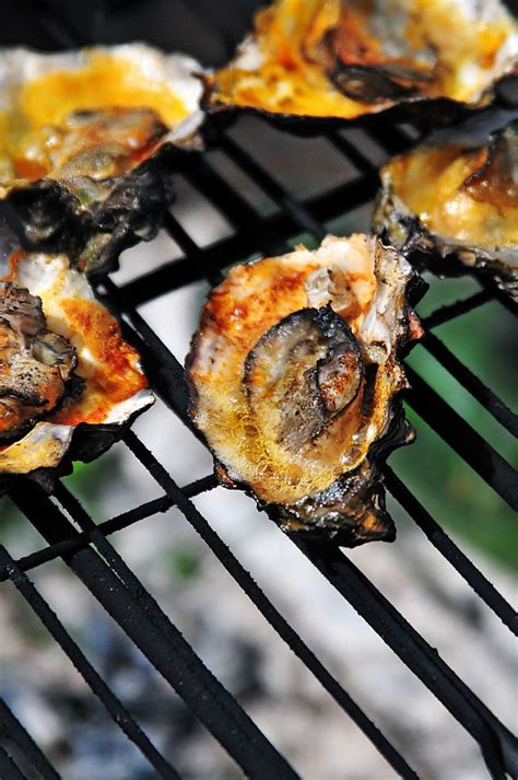 How To Barbecue Oysters Artofit