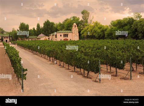 Usa Albuquerque New Mexico Casa Rondena Winery Vineyards Stock Photo