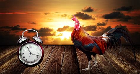 Daylight Saving Time 2024 Dates And Times Farmers Almanac