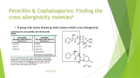 Cephalosporin Allergy Cross Reactivity Chart