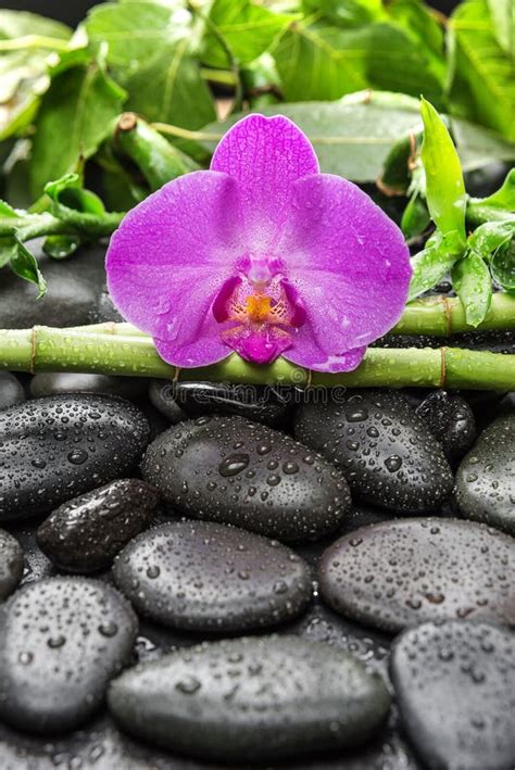 Spa Concept With Zen Stones Orchid Flower And Bamboo Stock Image