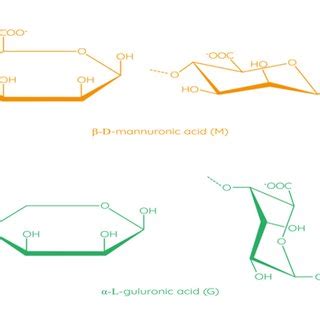 Schematic classification of biopolymer types [15,18,19]. Reproduced... | Download Scientific Diagram