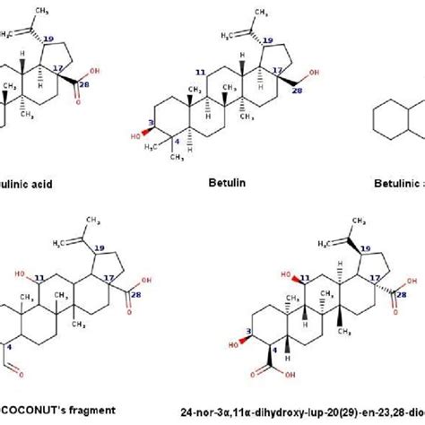 Chemical Structures Of Betulinic Acid Betulin Cyclic System Skeleton