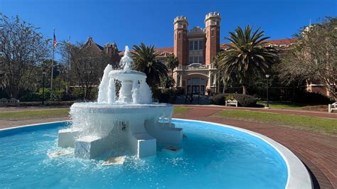 Trump's budget cuts threaten U.S. university research funding