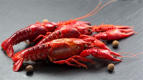 What Is Crawfish Butter, The So-Called 'Foie Gras Of The Sea'?