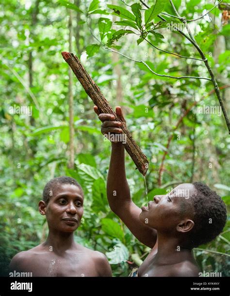 Pygmies Congo Hi Res Stock Photography And Images Alamy