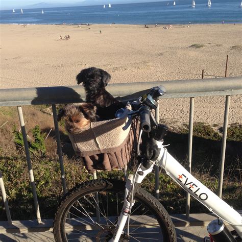 Launch of world s 1st electric smart lock for bike sharing rental