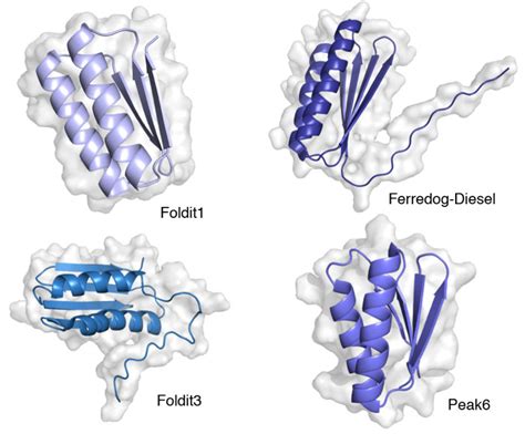 Pdb 101 Molecule Of The Month Designed Proteins And Citizen Science