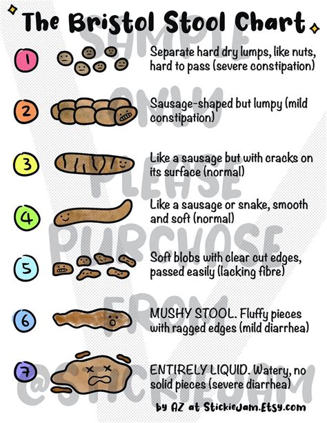 Cute Bristol Stool Chart Digital Pdf Printable Lab Poster Etsy Ireland