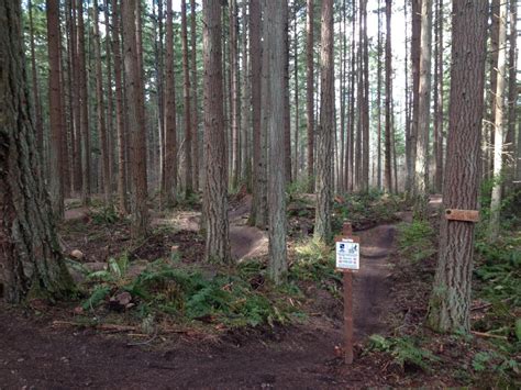 Swan Creek Mountain Bike Trail In Tacoma Washington Singletrackscom