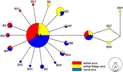 Frontiers Fine Scale Genetic Structure And Wolbachia Infection Of