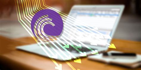 The Torrent Guide for Everyone