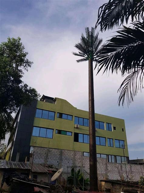 china customized concealment wireless antenna monopalm manufacturers