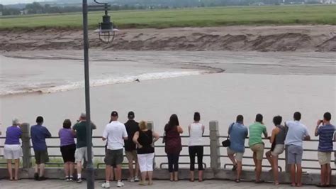 Bay Of Fundy Tidal Bore Youtube