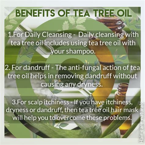 how to use tea tree oil hair